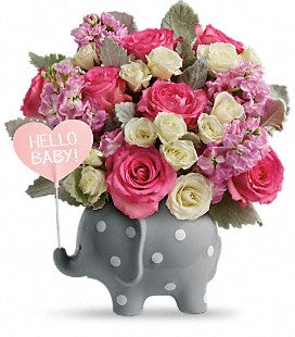 Hello Sweet Baby Elephant Girl