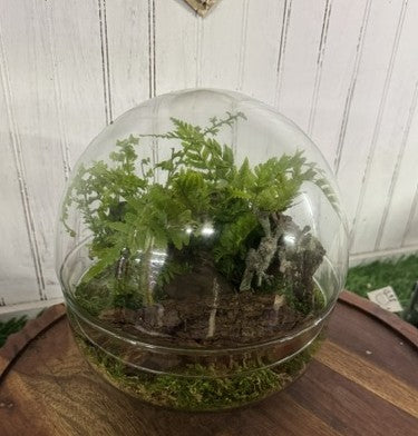 Enchanted Fern Garden Terrarium   – WARD'S FLORIST AND GREENHOUSE, Beverly MA