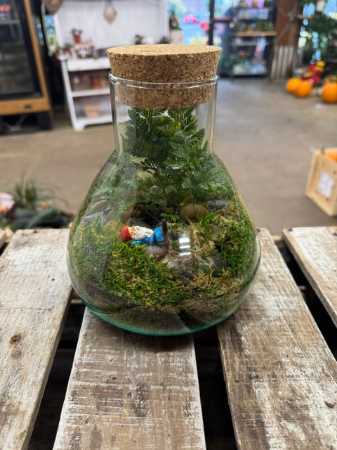 The Gnome's Secret Hideaway   – WARD'S FLORIST AND GREENHOUSE, Beverly MA