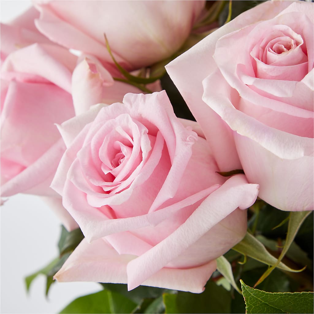 Picture Perfect Pink Rose Bouquet – WARD'S FLORIST AND GREENHOUSE, Beverly MA