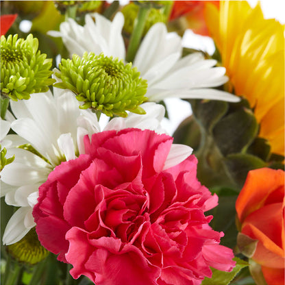 Sun-drenched Blooms Bouquet – WARD'S FLORIST AND GREENHOUSE, Beverly MA
