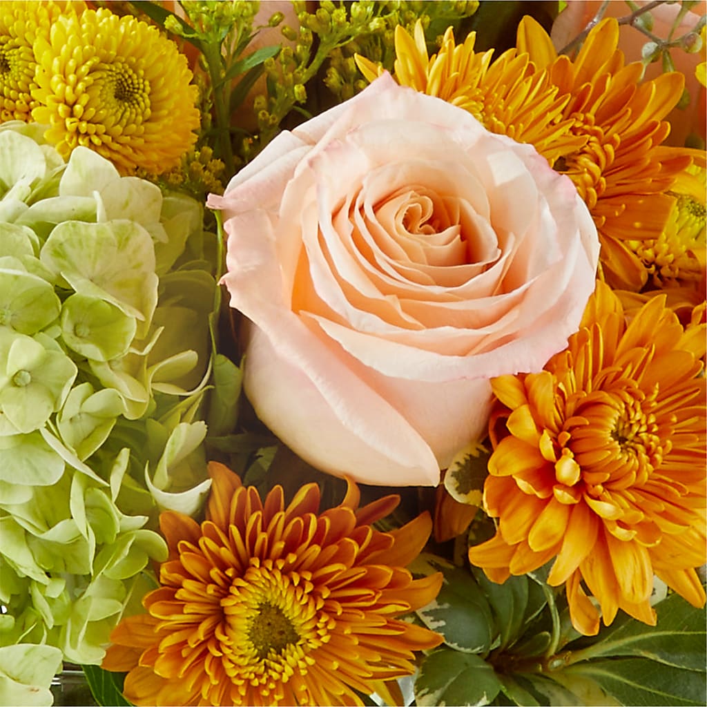 Fall Foliage Bouquet – WARD'S FLORIST AND GREENHOUSE, Beverly MA