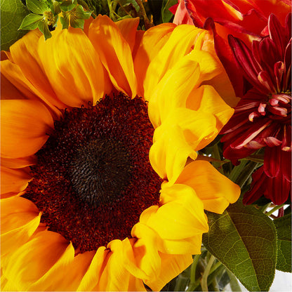 Harvest Festival Bouquet – WARD'S FLORIST AND GREENHOUSE, Beverly MA