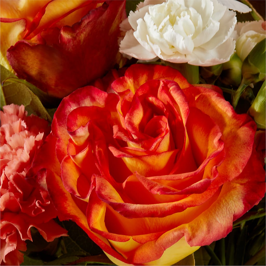 Apricot Glow Bouquet – WARD'S FLORIST AND GREENHOUSE, Beverly MA
