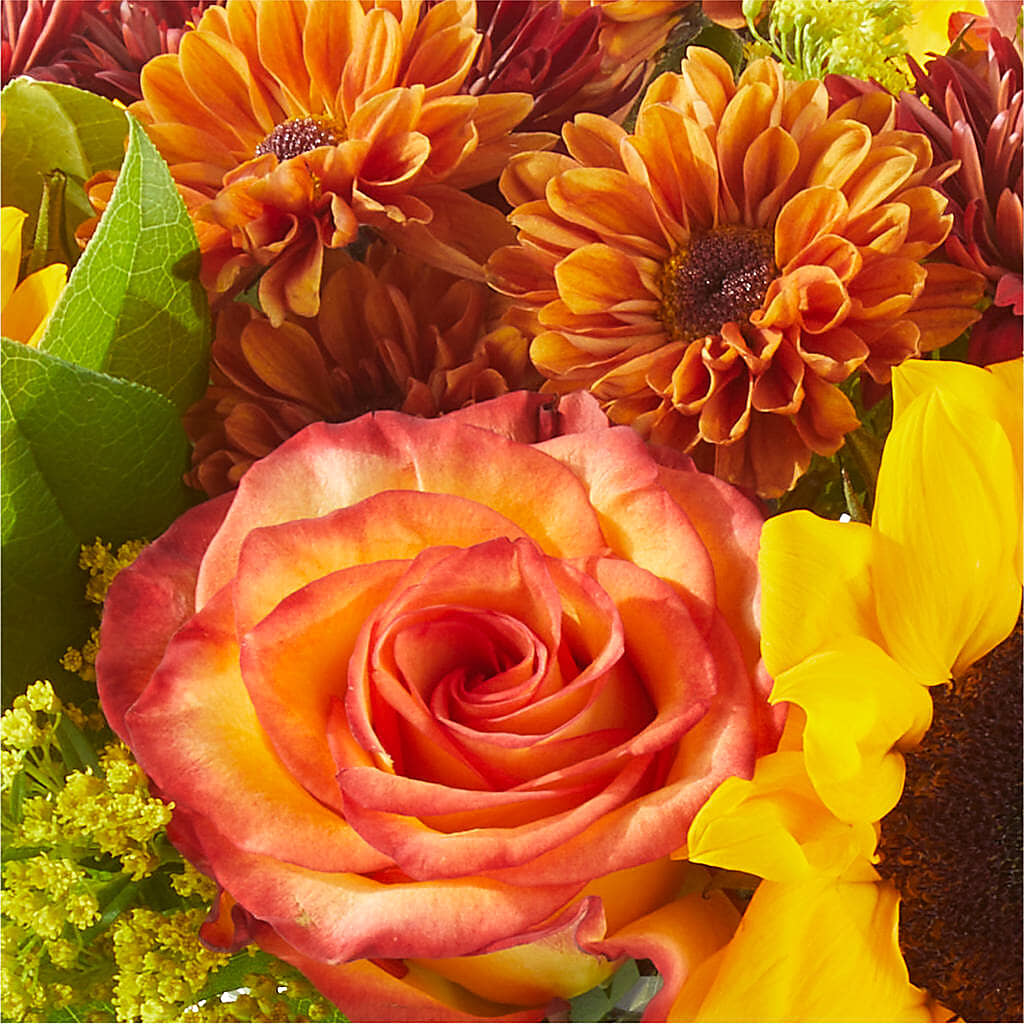 Flannel Scarf Bouquet – WARD'S FLORIST AND GREENHOUSE, Beverly MA