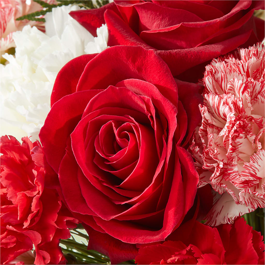 Candy Cane Lane Bouquet – WARD'S FLORIST AND GREENHOUSE, Beverly MA