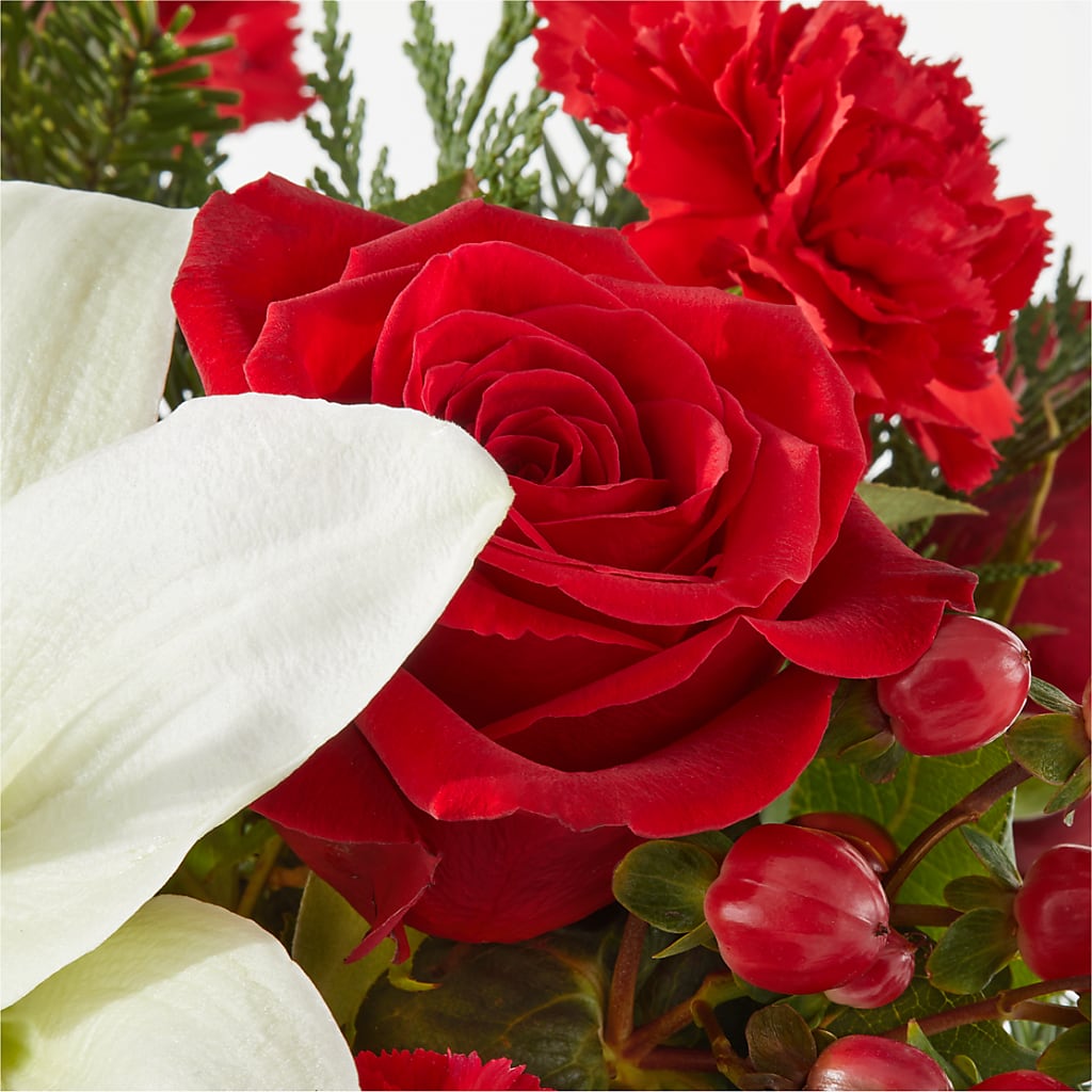 Oh So Jolly Bouquet – WARD'S FLORIST AND GREENHOUSE, Beverly MA