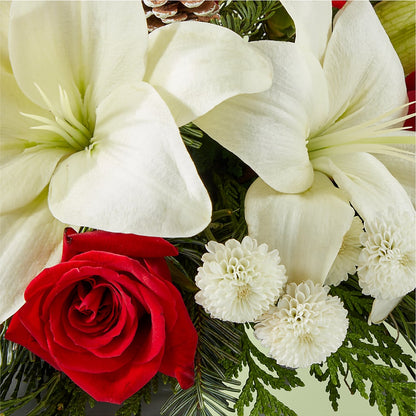 Seasonal Festivities Centerpiece – WARD'S FLORIST AND GREENHOUSE, Beverly MA