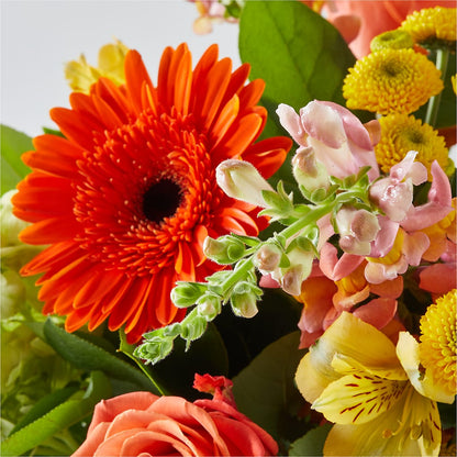 Autumn Sunshine Bouquet – WARD'S FLORIST AND GREENHOUSE, Beverly MA