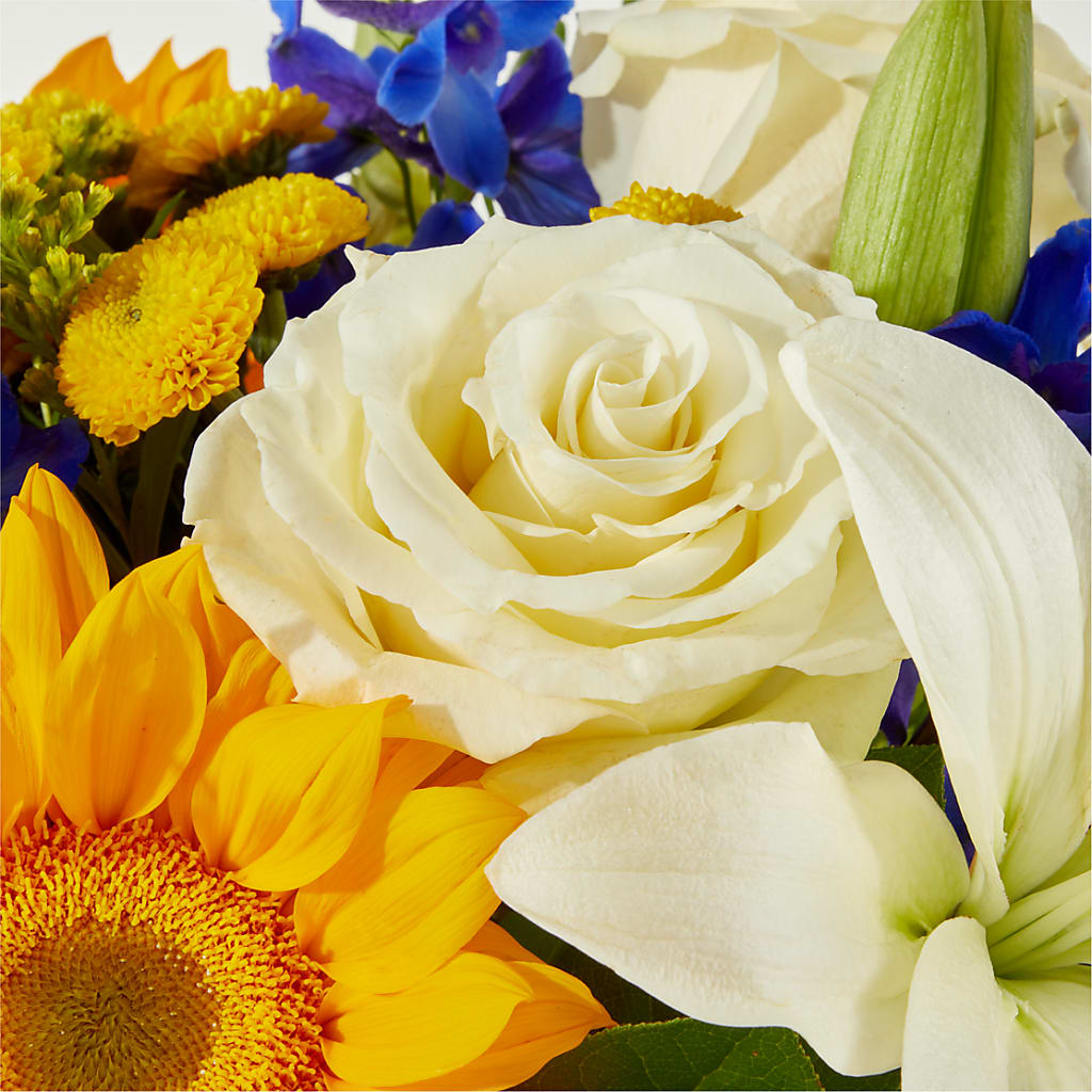 Stargazing Bouquet – WARD'S FLORIST AND GREENHOUSE, Beverly MA