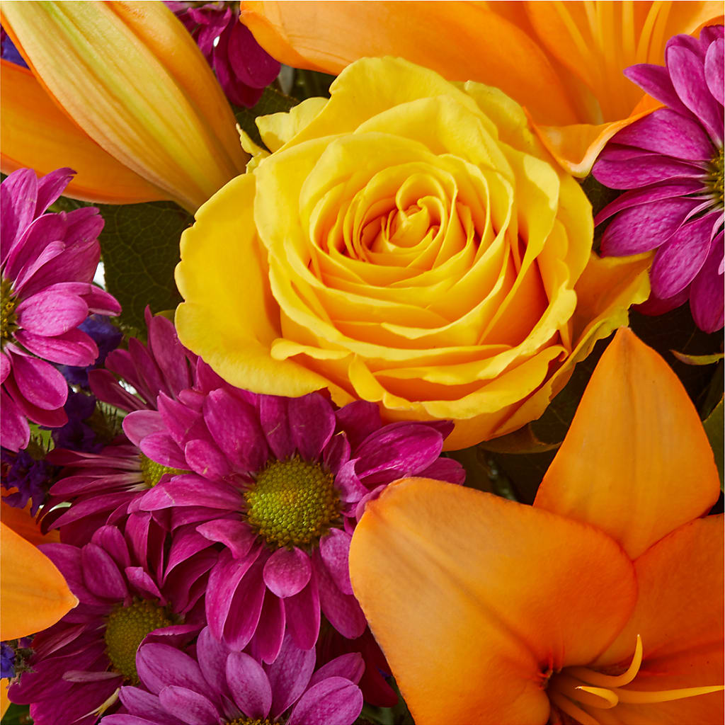 Colorful Visions Bouquet – WARD'S FLORIST AND GREENHOUSE, Beverly MA