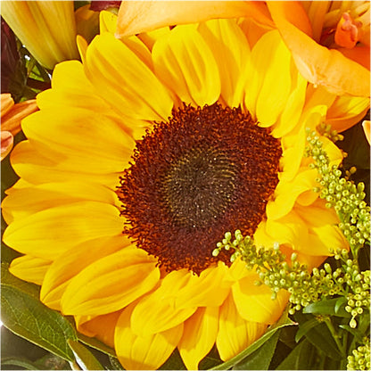 Seasons Change Bouquet – WARD'S FLORIST AND GREENHOUSE, Beverly MA