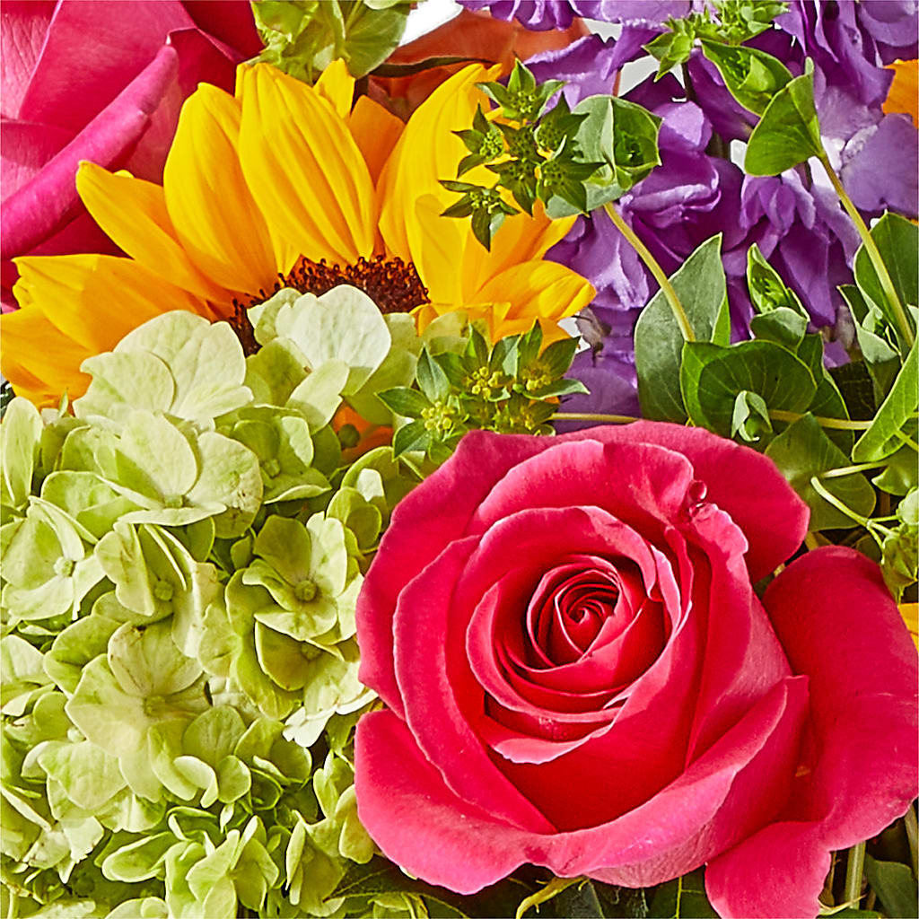 Vibrant Greetings Bouquet – WARD'S FLORIST AND GREENHOUSE, Beverly MA