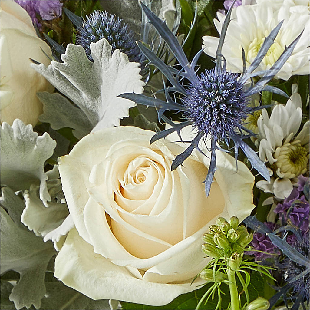 Shooting Star Bouquet – WARD'S FLORIST AND GREENHOUSE, Beverly MA