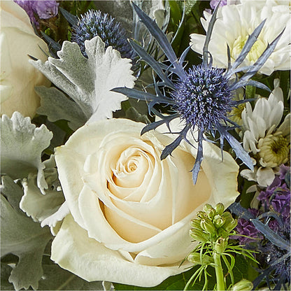 Shooting Star Bouquet – WARD'S FLORIST AND GREENHOUSE, Beverly MA