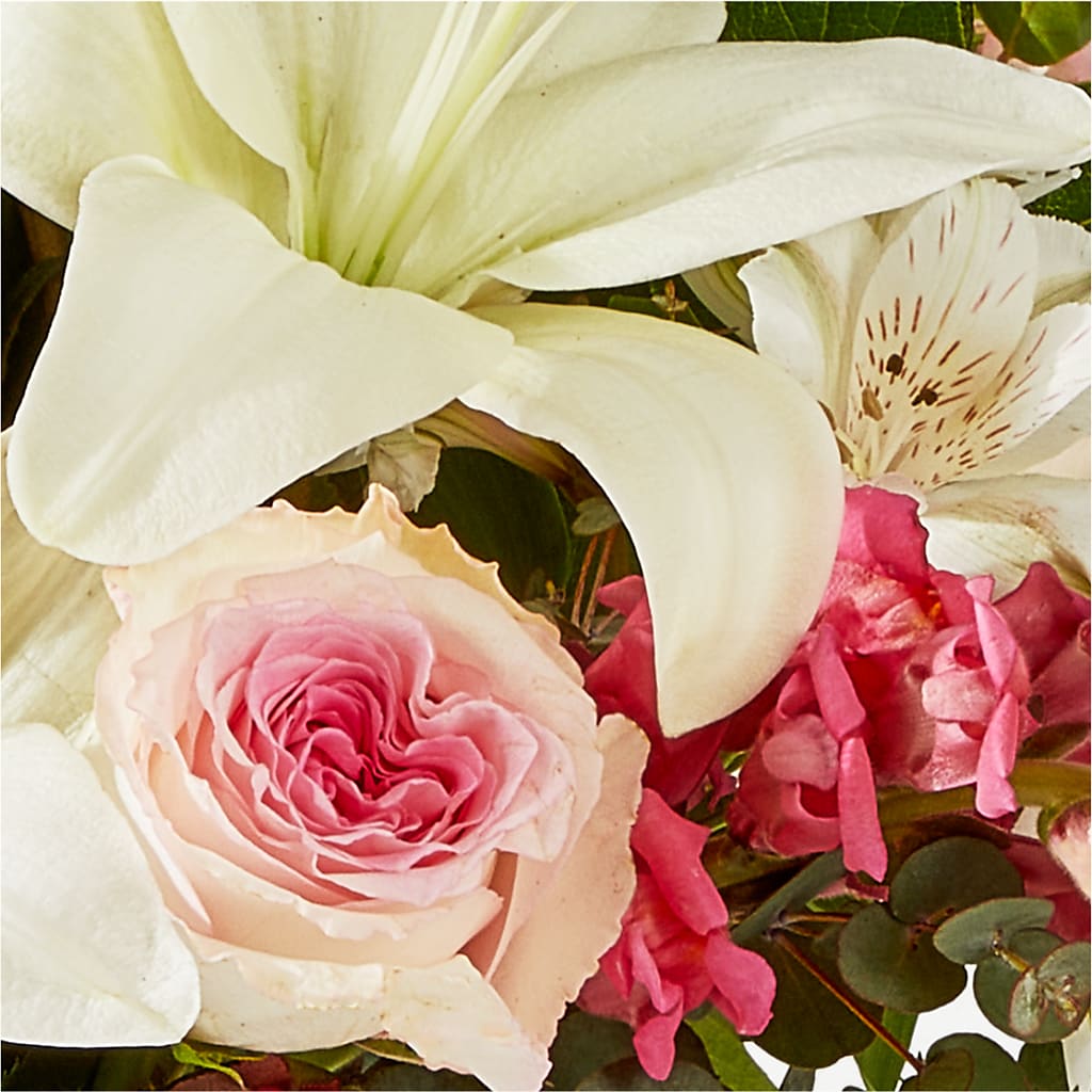 Ballet Slippers Bouquet – WARD'S FLORIST AND GREENHOUSE, Beverly MA