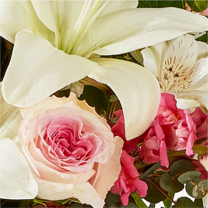 Ballet Slippers Bouquet – WARD'S FLORIST AND GREENHOUSE, Beverly MA