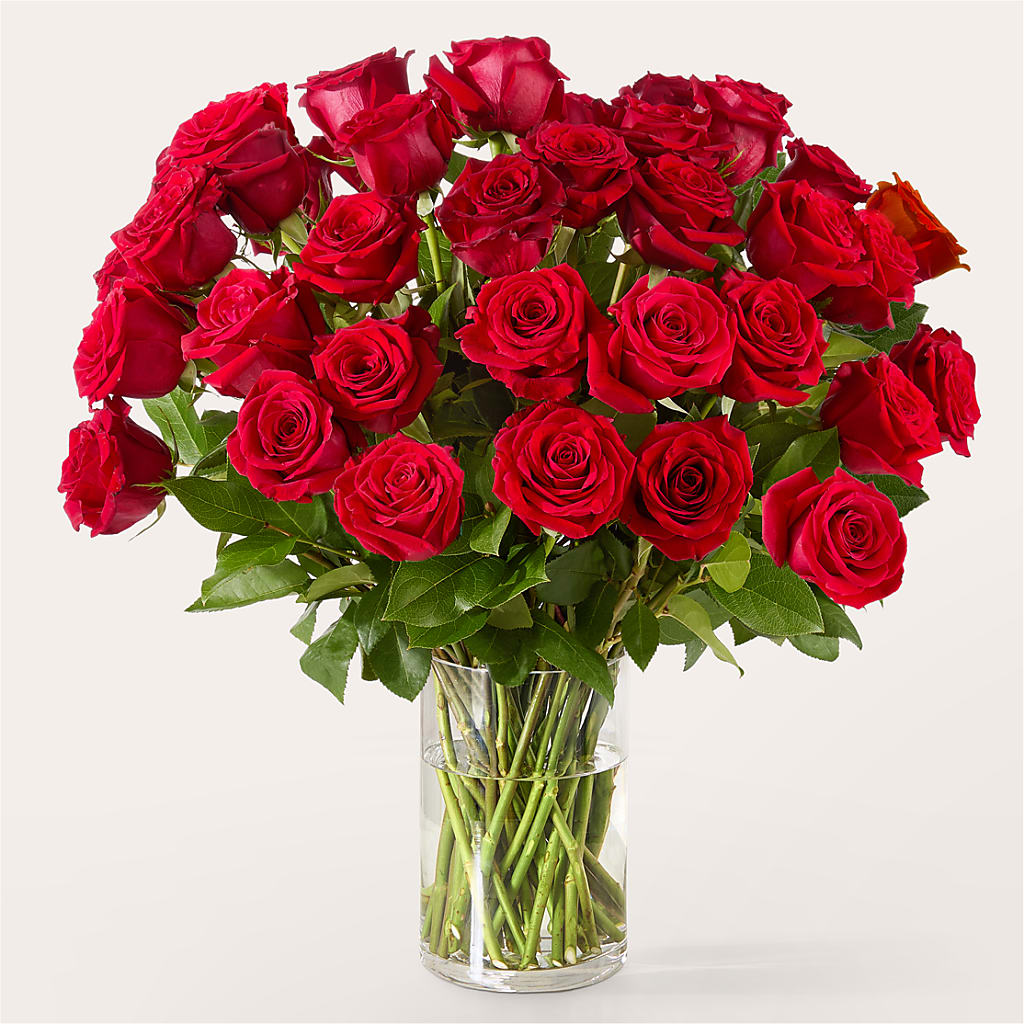 The One Red Rose Bouquet – WARD'S FLORIST AND GREENHOUSE, Beverly MA
