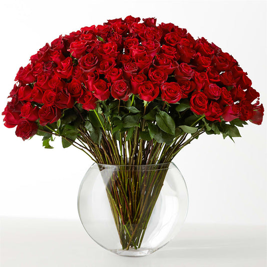 The Idealist – WARD'S FLORIST AND GREENHOUSE, Beverly MA