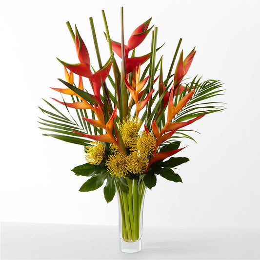 The Drama – WARD'S FLORIST AND GREENHOUSE, Beverly MA