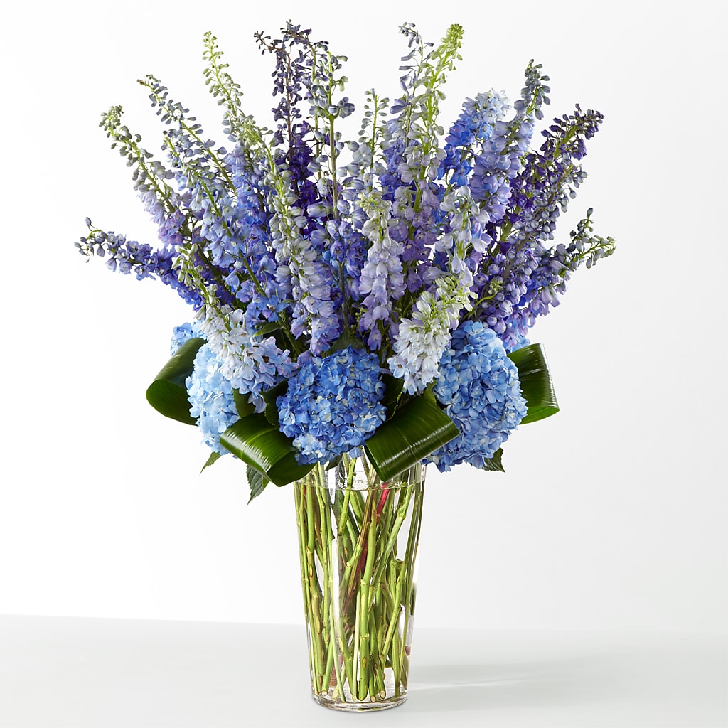 The Editorial – WARD'S FLORIST AND GREENHOUSE, Beverly MA