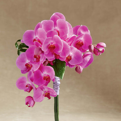 Glorious Bouquet – WARD'S FLORIST AND GREENHOUSE, Beverly MA