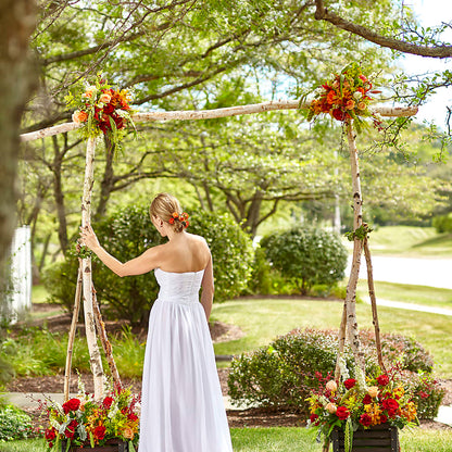 Arbor of Love Archway – WARD'S FLORIST AND GREENHOUSE, Beverly MA