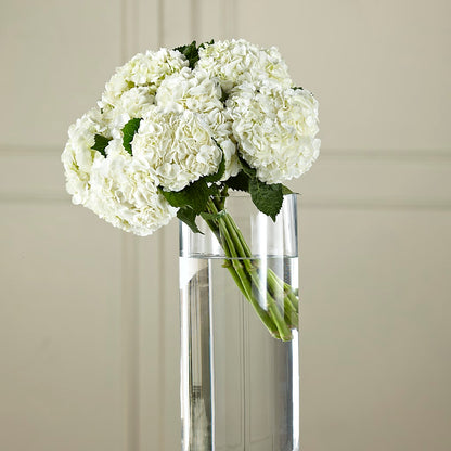 White Hydrangea Hand-Tied Bouquet – WARD'S FLORIST AND GREENHOUSE, Beverly MA