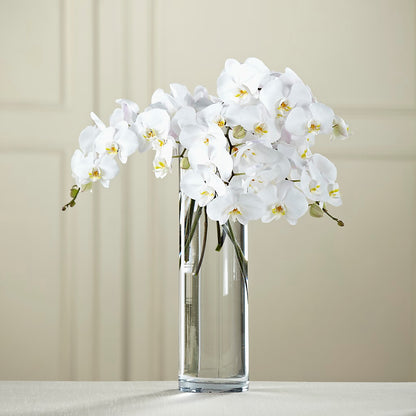 White Phalaenopsis Bouquet – WARD'S FLORIST AND GREENHOUSE, Beverly MA
