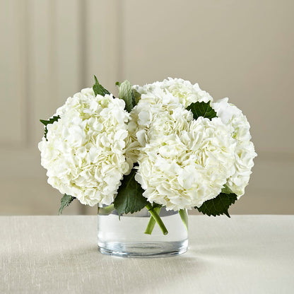 White Hydrangea Bouquet – WARD'S FLORIST AND GREENHOUSE, Beverly MA