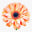 logo of Beverly's Best Local Florist with same day delivery - Ward's Florist